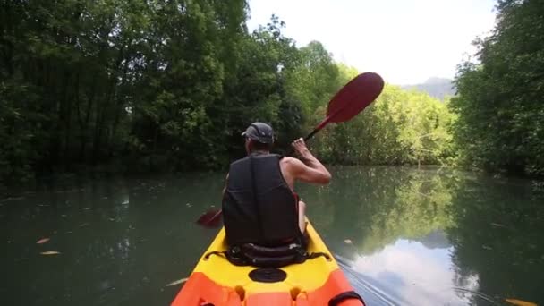 Homme aviron kayak dans les mangroves — Video