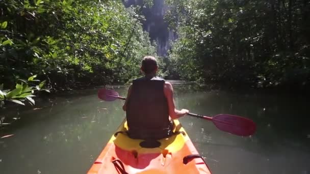 Man rodd kayak i mangroveträd — Stockvideo