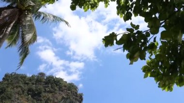 Palm üzerinde yüzen bulutlar