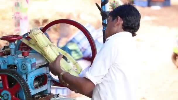 Изготовление камышового сока с помощью специальной машины — стоковое видео