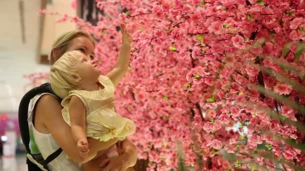 Дитина торкається рожевих квітів сакури — стокове відео
