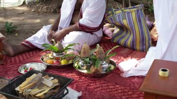 Hindú bramin en la ceremonia de boda india — Vídeos de Stock