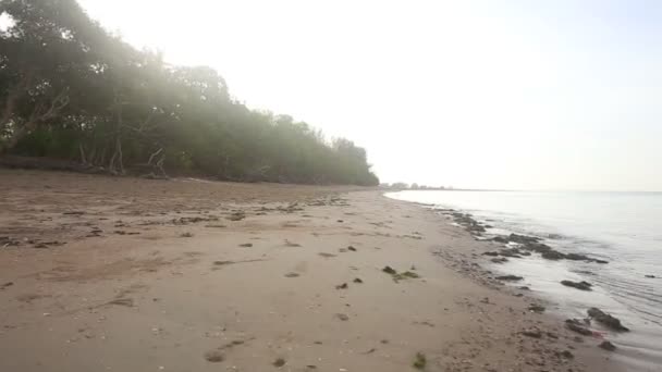 Girl running along beach — Stock Video