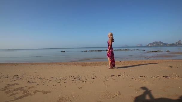 Homme avec guitare et fille sur la plage — Video