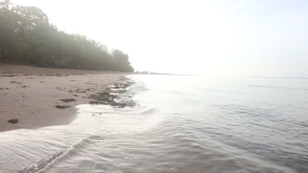 浪冲浪海滩上 — 图库视频影像