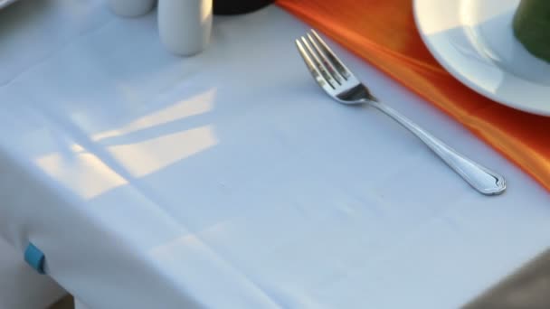 Waiter  putting grill on table — Stock Video