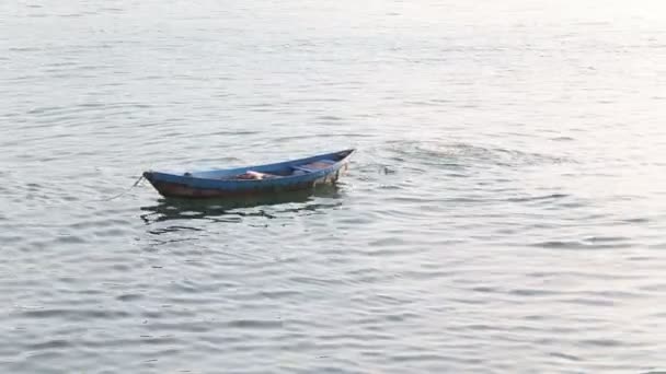 Pescador na água no Vietnã — Vídeo de Stock