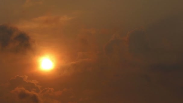 Céu do nascer do sol com nuvens e pássaros — Vídeo de Stock