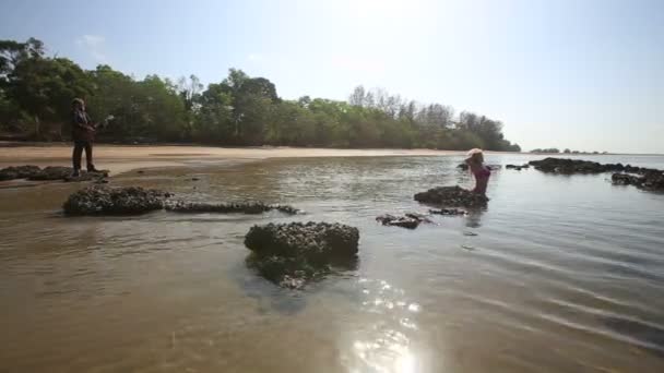 Guitarist playing for girl near sea — Stock Video