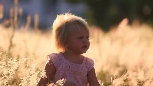 Liten blond flicka upptäcker fältet blommor — Stockvideo