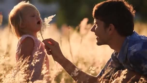 Father shows daughter field — Stock Video