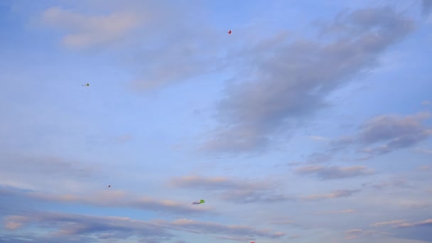 View of flying kites against  sky — Stock Video