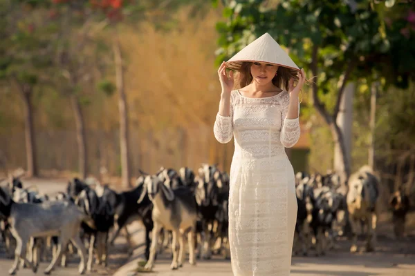 Девушка во вьетнамском платье и стадо коз — стоковое фото