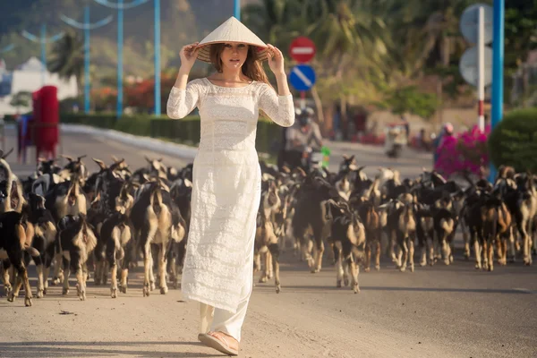 Menina em vestido vietnamita e rebanho de cabras — Fotografia de Stock