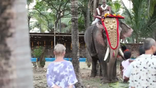 Ινδικό άνδρες διακοσμούν ελέφαντα — Αρχείο Βίντεο