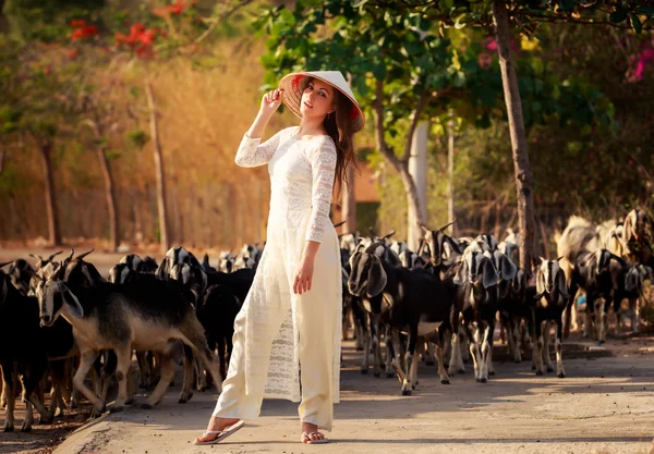 Chica en vestido vietnamita contra el rebaño —  Fotos de Stock