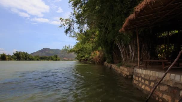 Wind erschüttert Bäume Äste am Fluss — Stockvideo