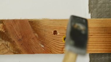 İşçi muslukları çekiçle tahta kaplama duvarlara çivi çakıyor. Tamirci, alçı levha duvarını dikkatlice bağlar.