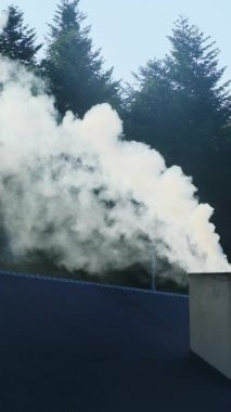 Beyaz duman akıntısı evin bacasından yavaşça yükselir ve hafif bir yanık odun kokusu yayar. Ev ormanın ortasında duruyor. Dikey çekim