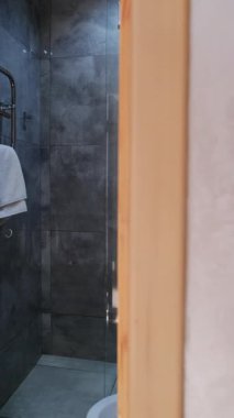 Parlak havlu asacağı ve cam duş kabini olan modern banyo. Pürüzsüz fayansları ve seramik tuvaleti olan parlak bir oda. Dikey çekim