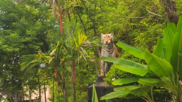 Big model of tiger in Vietnam — Stock Video
