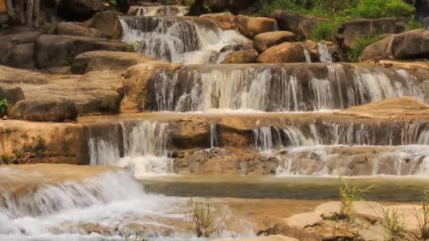 Cascade de ruisseau de montagne 