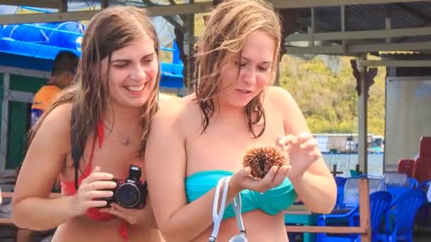 Girl tourist holds  small sea-urchin — Stock Video