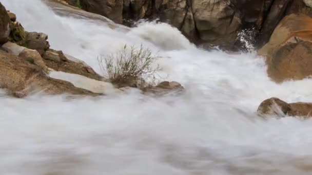 Ruisseau de montagne mousseux orageux — Video