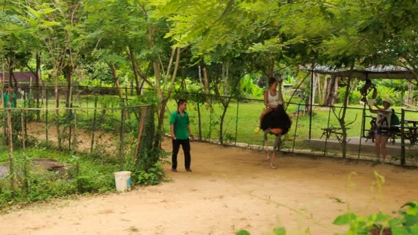 Девушки туристические поездки на страусе — стоковое видео