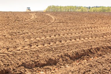 Traktör yaprakları taze parça