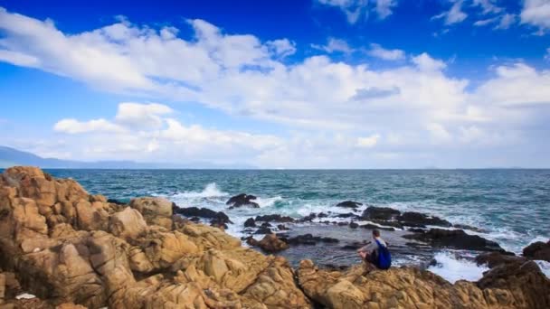 Vue imprenable sur la plage de rochers — Video