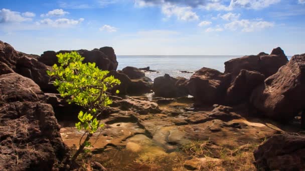 Hermoso mar viev — Vídeo de stock