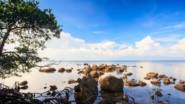 Hermoso mar viev — Vídeo de stock