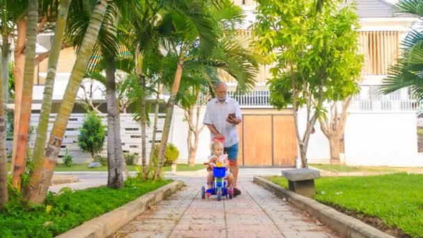Großvater mit Kind spaziert im Park — Stockvideo