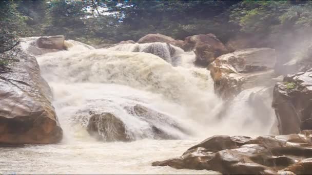 Râu de munte care curge — Videoclip de stoc