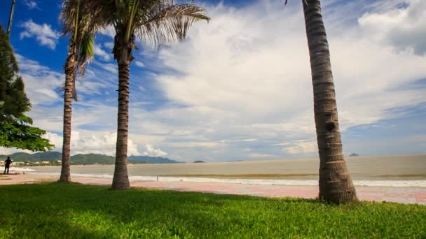Palm boomstammen over het zeewater — Stockvideo