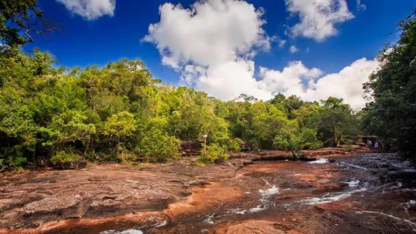 Rio de montanha espumoso — Vídeo de Stock