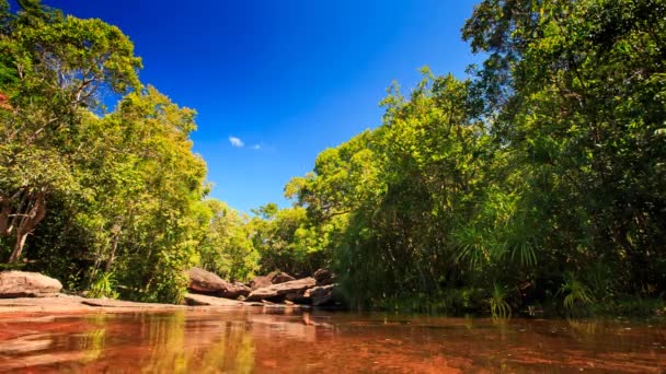 Río de montaña con piedras — Vídeos de Stock