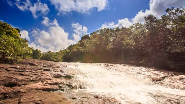 Foamy mountain river — Stock Video