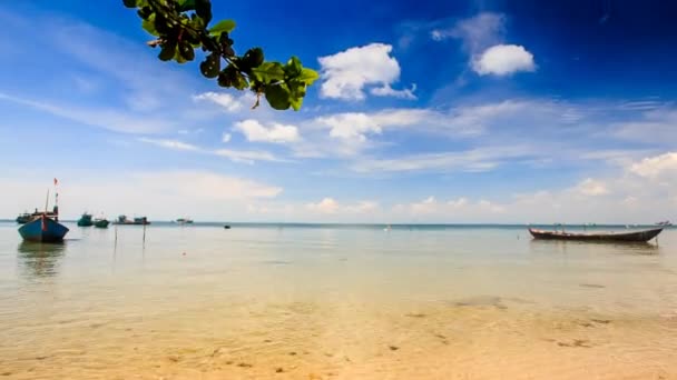 Playa de arena dorada — Vídeos de Stock