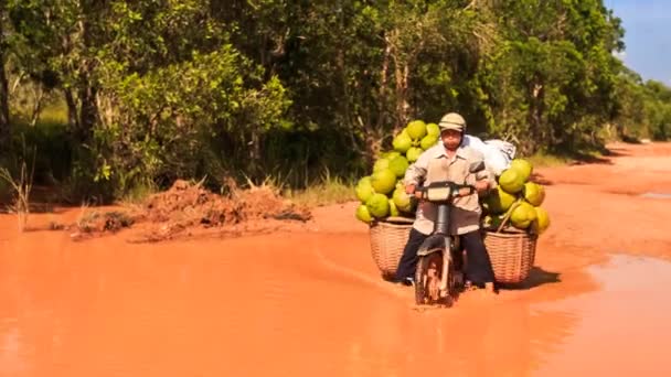 Contadino vietnamita porta noci di cocco — Video Stock