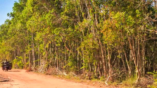 Campesino vietnamita lleva cocos — Vídeos de Stock