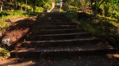 Vietnamca pagoda taş basamaklar