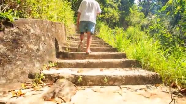Πίσω πλευρά γέροντας ανεβαίνει πέτρινα σκαλοπάτια να παγόδα στο Βιετνάμ — Αρχείο Βίντεο