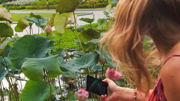 Женщина фотографирует цветы лотоса — стоковое видео