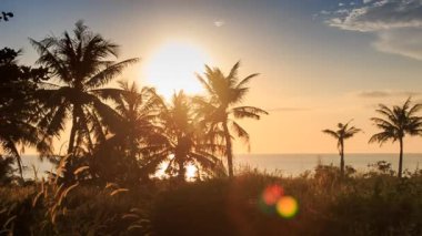 yüksek avuç içi siluetleri