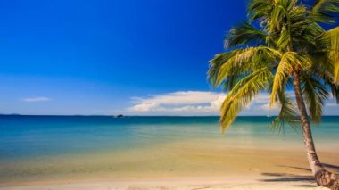 Kumsalda adam scooter üzerinde sürücüler