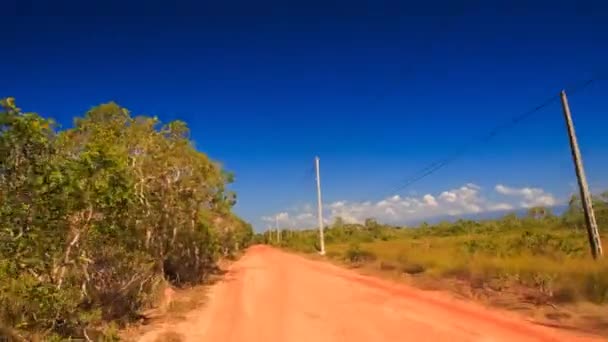 Земляна дорога між тропічними рослинами — стокове відео
