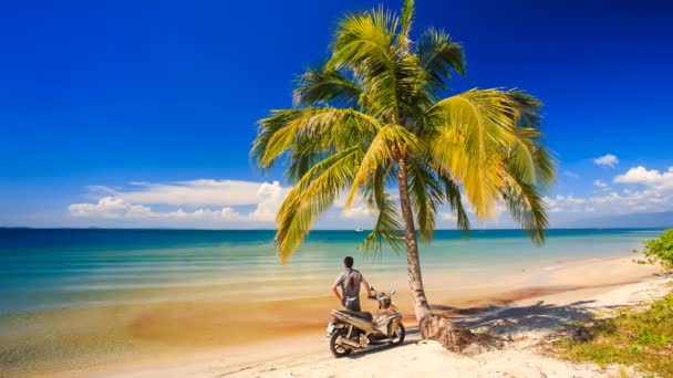 Guy se quita la vespa en Palm — Vídeo de stock