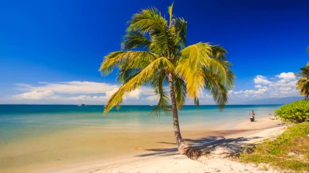 gars sur scooter sur la plage 
